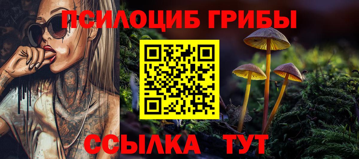 Галлюциногенные грибы мухоморы Киселёвск