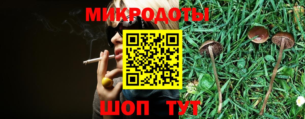 как найти закладки  Вход с VPN  Киселёвск  Галлюциногенные грибы мицелий 